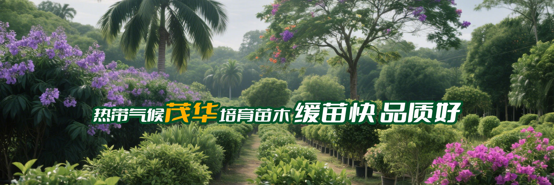 茂华苗圃