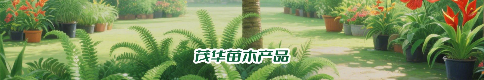 三亚茂华苗圃