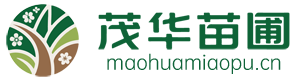 茂华苗圃